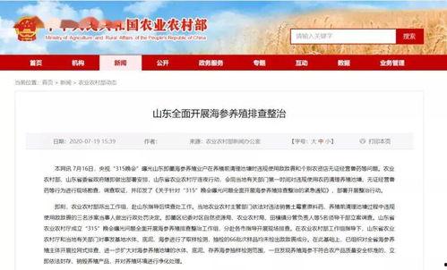 海参养殖爆料视频,揭秘幕后爆料视频背后的真相 第3张 海参养殖爆料视频,揭秘幕后爆料视频背后的真相 第3张